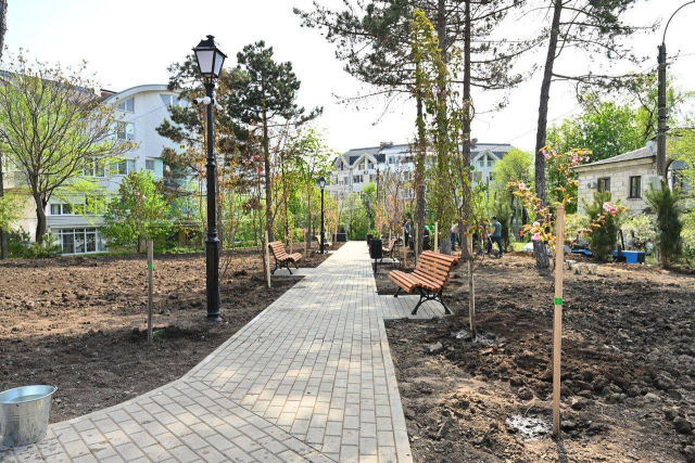 În scuarul Colina Pușkin din capitală au fost plantați 70 de arbori decorativi