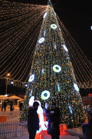 В этом году, в зимние праздники на Площади Великого Национального Собрания будет установлена искусственная ель