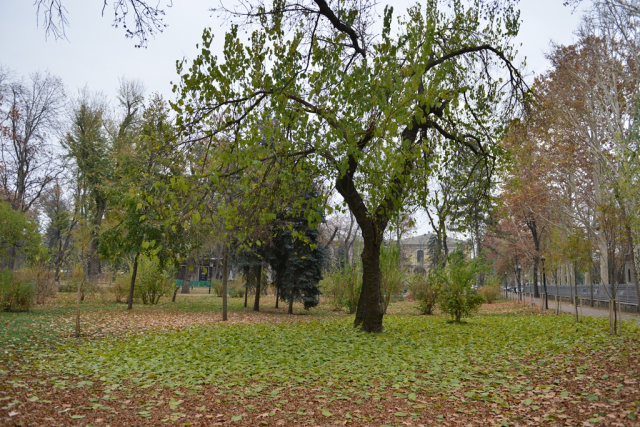 Chisinau has become part of the European project "ArcheoDanube: Archaeological parks in urban areas as a tool for sustainable local development"