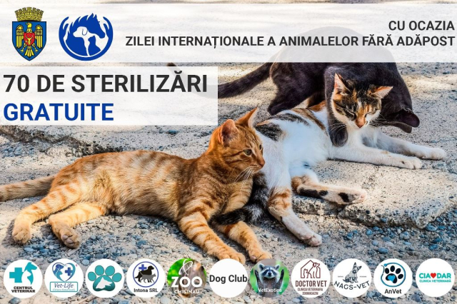 Free sterilization of homeless cats