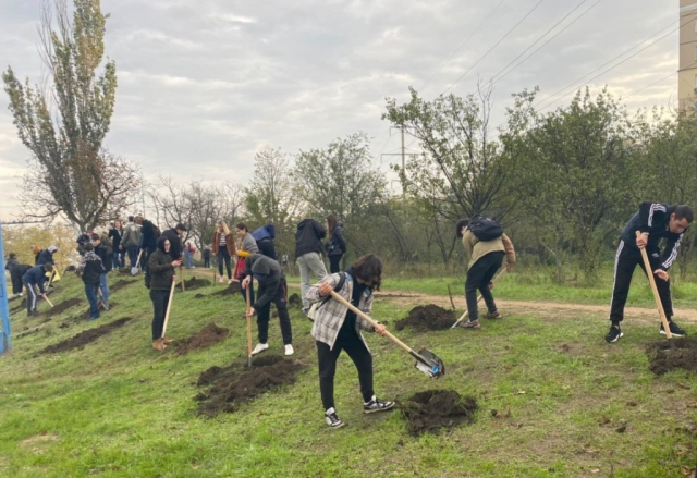  As part of greening City actions, on Saturday, about 12 thousand trees were planted on the capital's territory